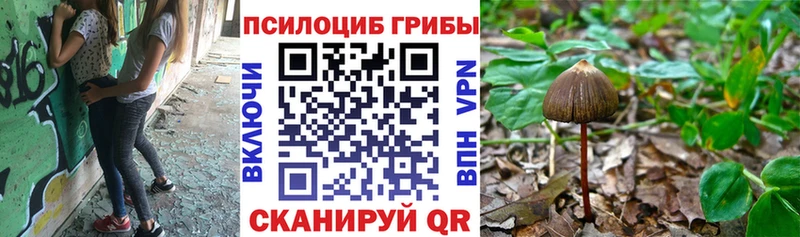 Галлюциногенные грибы Cubensis  Купить где  Кохма 